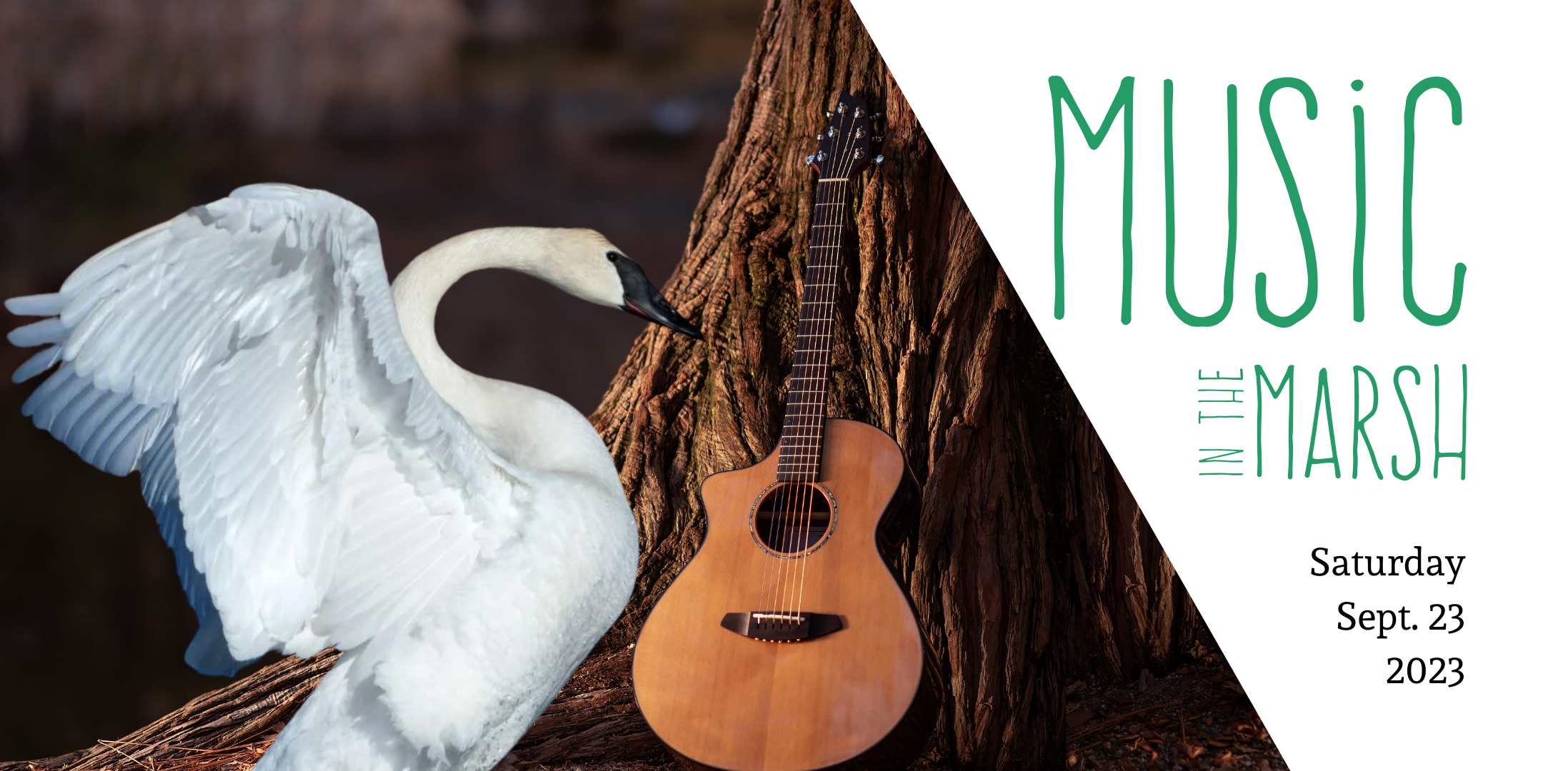 Music in the Marsh - SWAN (2).png